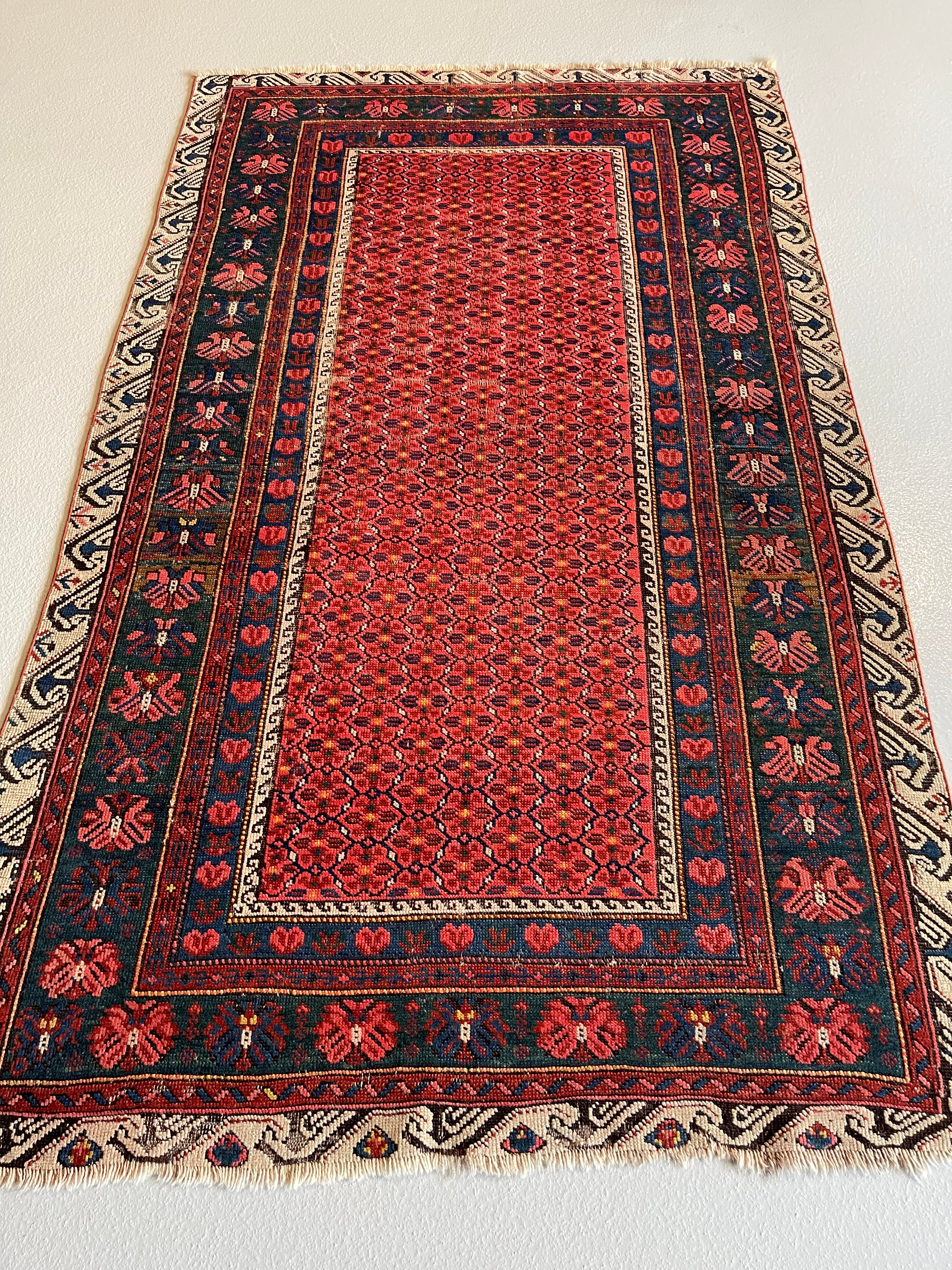 3.10' x 6.4' #2730 Kurd Rug