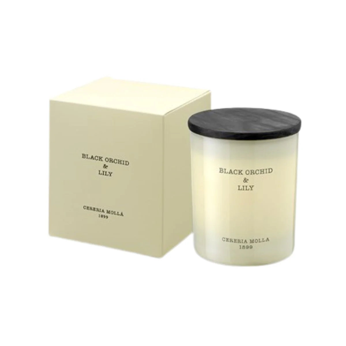 Cereria Molla Collection of Candles - Image 4