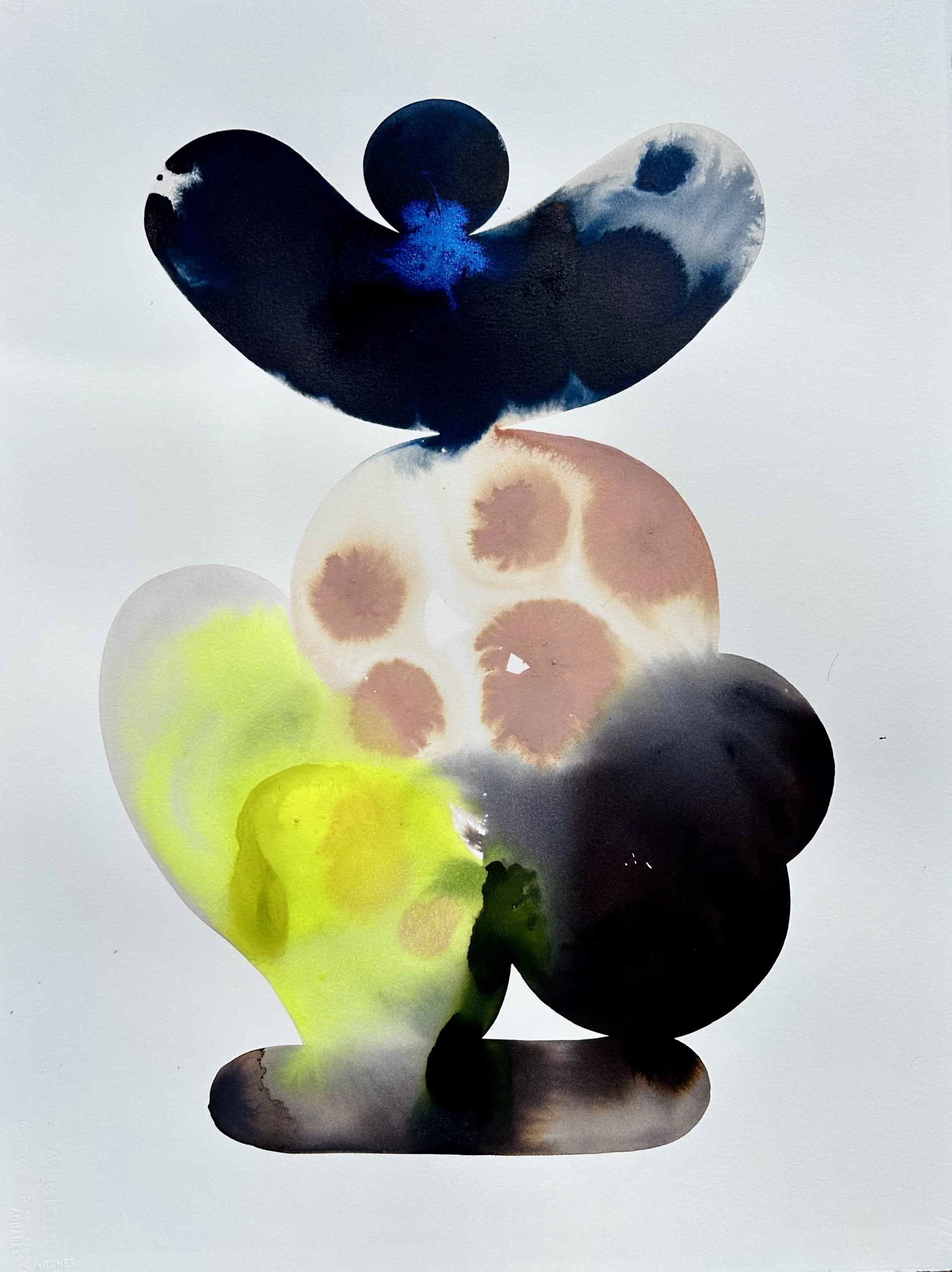 "Delight 2661" By June Glasson - 22” x 30”