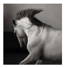 Laurence Guillem "Hermes Stallion" 36x34.5