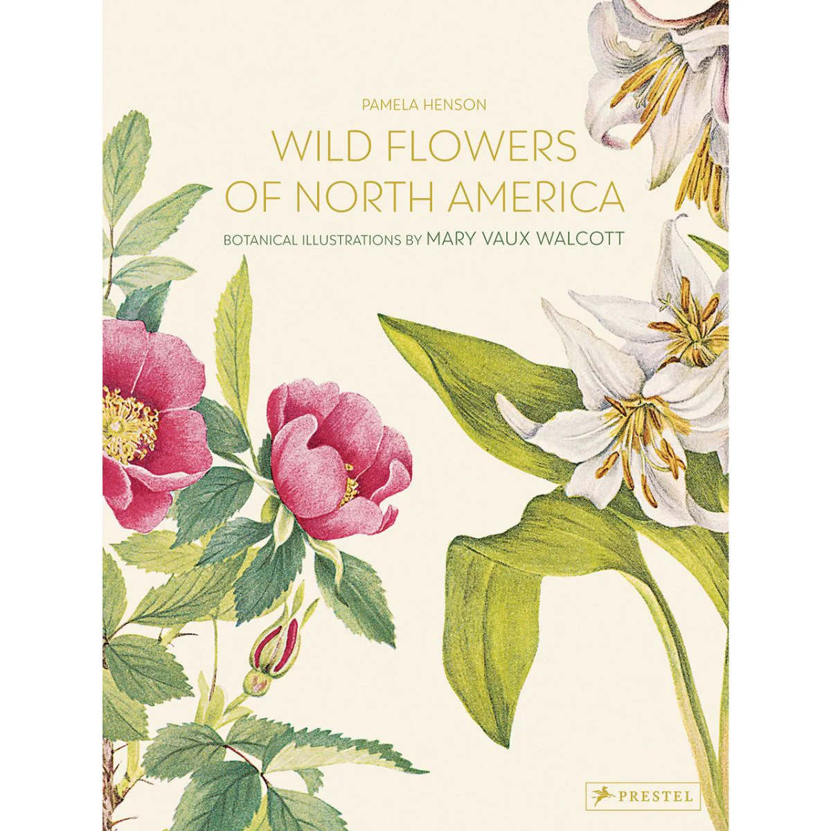 Wildflowers of North America